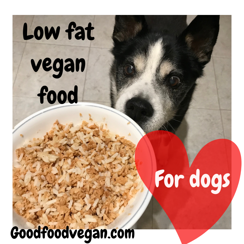 Low Fat Vegan Food for Dogs - Good Food Vegan